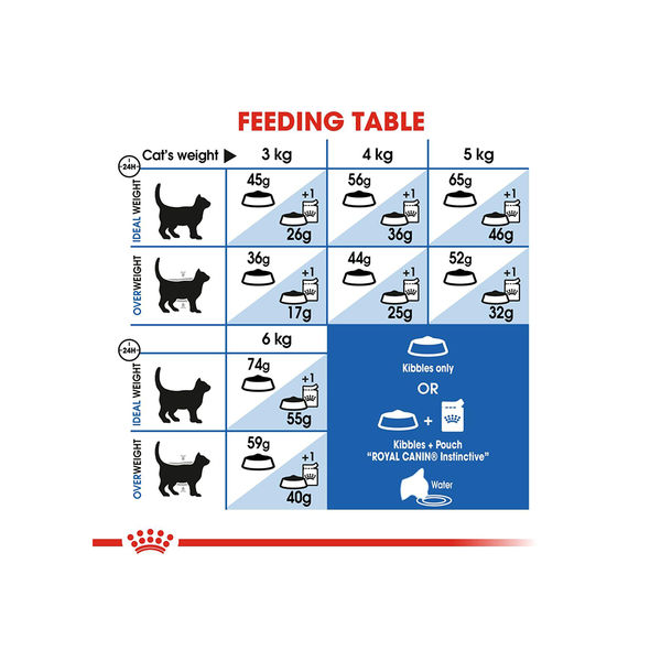 Royal Canin Indoor 27 Dry Cat Food