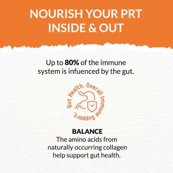 Goofy Tails Chicken Bone Broth for Cats