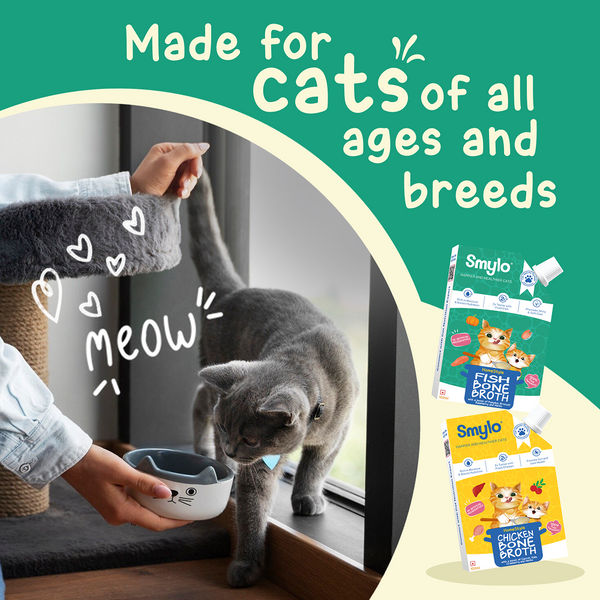 Smylo Hydration Rich Fish with Pumpkin, Broccoli and Raspberry Bone Broth for Cats