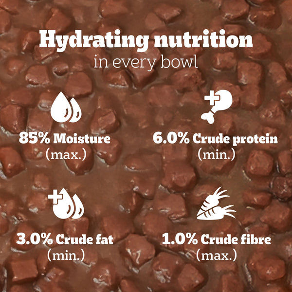 Pedigree Chicken and Liver Chunks in Gravy Pouch Puppy Dog Wet Food (130g)