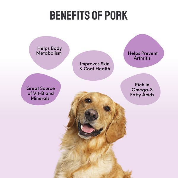 Floof & Co Pork Chew, Bacon Cheese, Chicken Cheese, Roasted Lamb and Smoked Lamb Dog Treats Combo