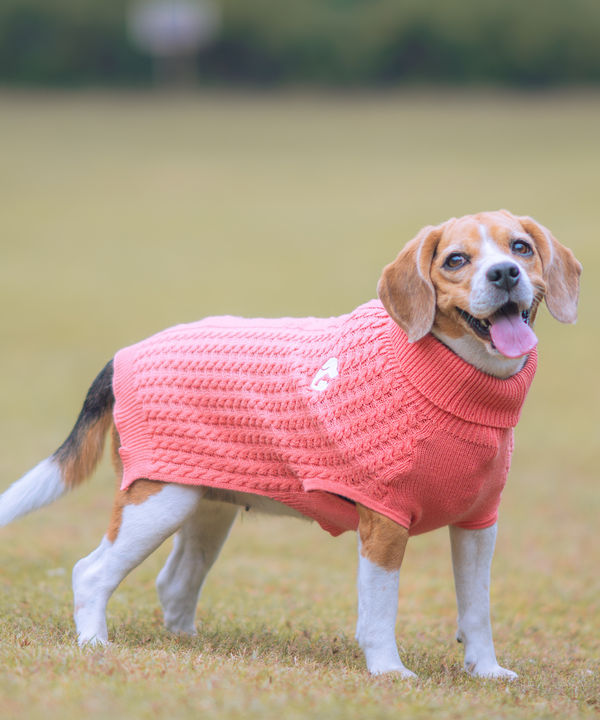Pet Set Go Cable Knit Sweater for Dogs (Peach)