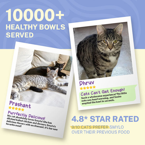 Smylo Adult Chicken Tuna & Rosemary, Fresh & No-Preservative Wet Cat Food