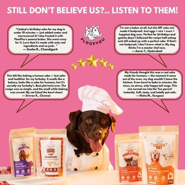 Floofyou Home Made Carrot Apple Birthday Cake Mix for Dogs and Cats