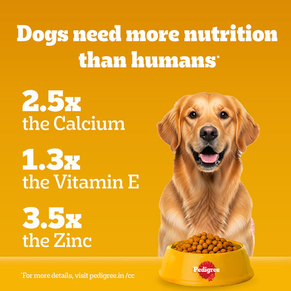Pedigree Chicken, Egg and Rice Adult Dog Dry Food