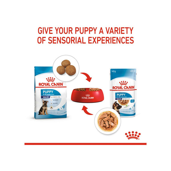 Royal Canin Maxi Puppy Dog Wet Food