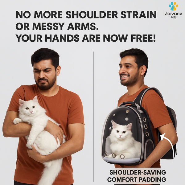 Zoivane Carrier Bag pack for Cats (Black)
