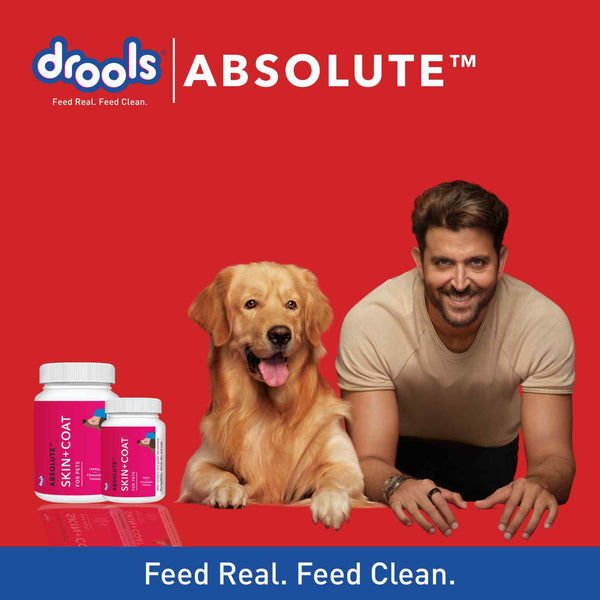 Drools Absolute Calcium, Vitamin and Skin & Coat Dog Supplement Tablets Combo