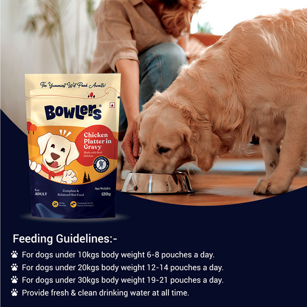 Bowlers Chicken Recipe in Gravy Dog Wet Food