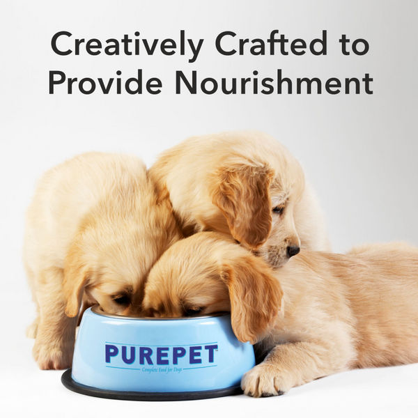 Purepet Chicken & Vegetable Chunks in Gravy Puppy Dog Wet Food
