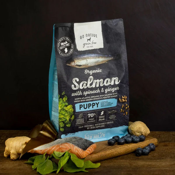 Pets Way Go Native Salmon with Spinach & Ginger Puppy Dog Dry Food