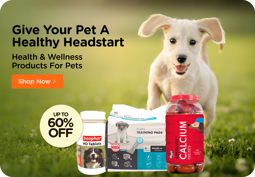 Best online dog clearance boutiques