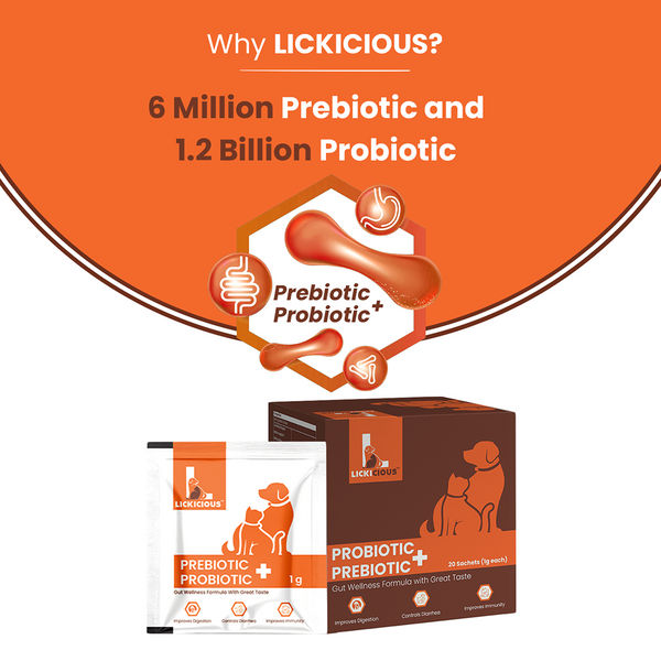 Lickicious Pre and Probiotics Sachets,Gut Health & Digestion for Dogs & Cats