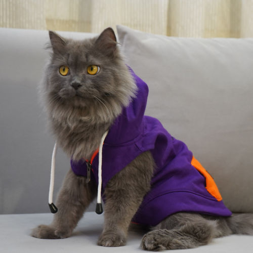 Skatrs Blaze Breezy Hoodies with Pockets for Dogs and Cats (Violet)