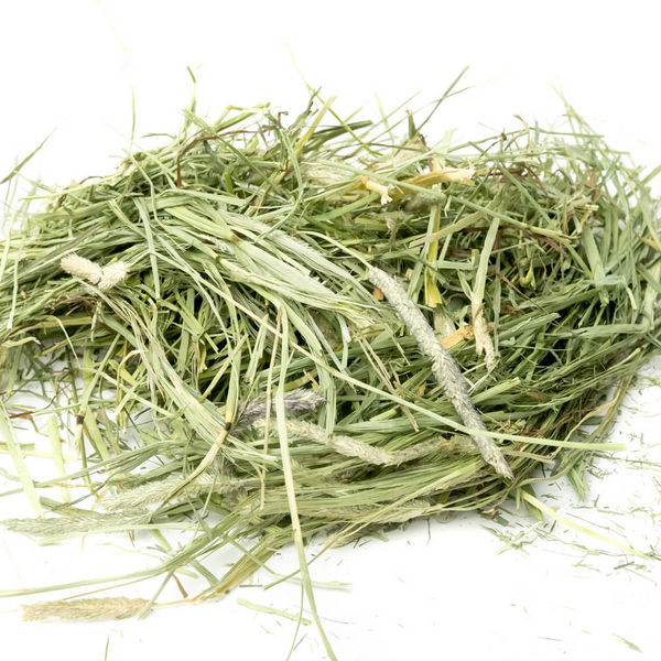 Science Selective Timothy Hay for Rabbits and Guniea Pigs