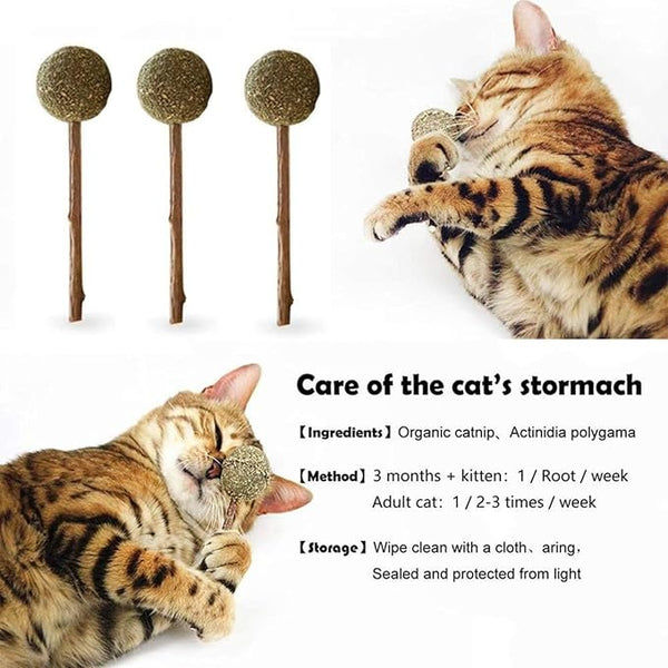 Skatrs Catnip Lollipop Natural Wooden Teeth Cleaning Toy for Cats and Kittens
