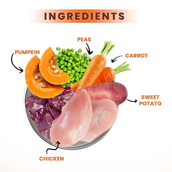 Lickicious Home Style Chicken and Vegetables Dog Fresh Food