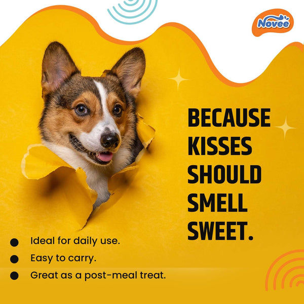 Novee Mini Dental Care Stick Treats for Dogs