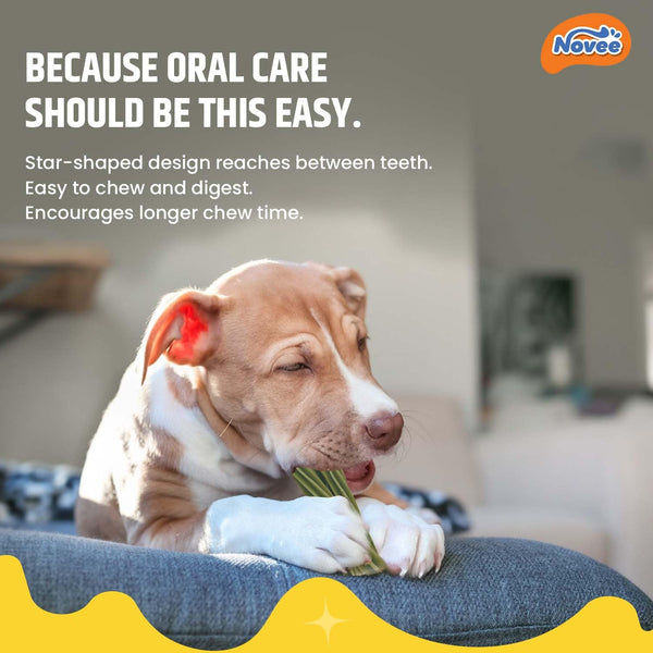 Novee Mini Dental Care Stick Treats for Dogs