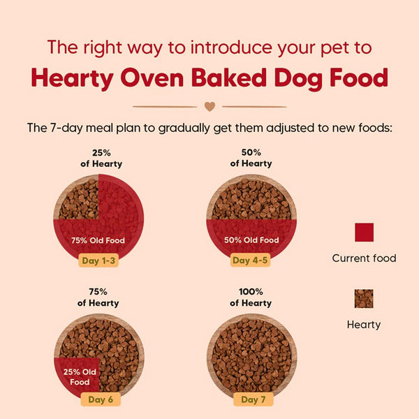 HUFT Hearty Oven Baked Chicken & Duck with Brown Rice Adult Dog Dry Food