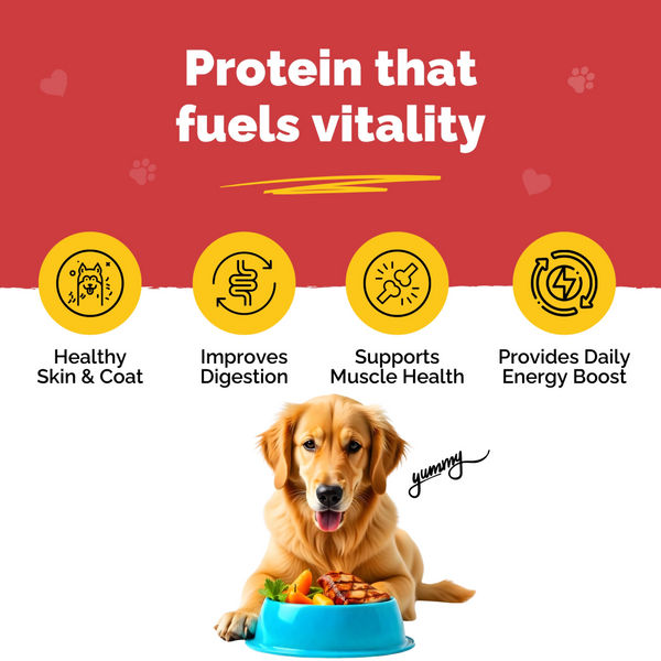 PetStrong 2.2  Meal Protein Booster for Dogs