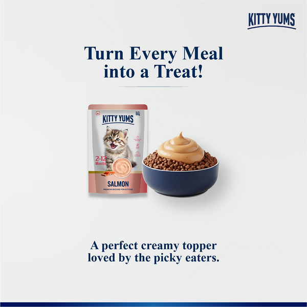 Kitty Yum Salmon Mousse Kitten Cat Wet Food