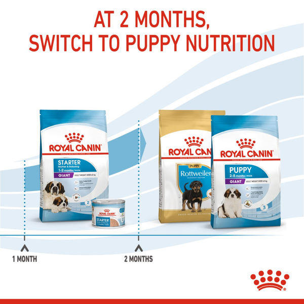 Royal Canin Royal Canin Giant Starter, Mother & Babydog Dog Dry Food