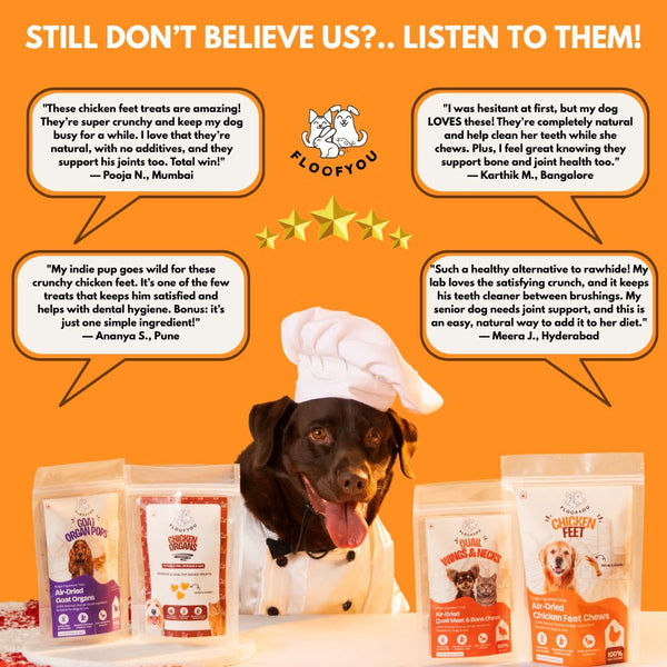 FloofYou Air Dried Chicken Feet Grain Free Chew Dog Treats