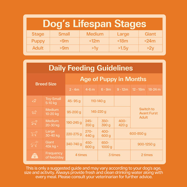 Avant Furst Chicken and Vegetable Puppy Dry Food