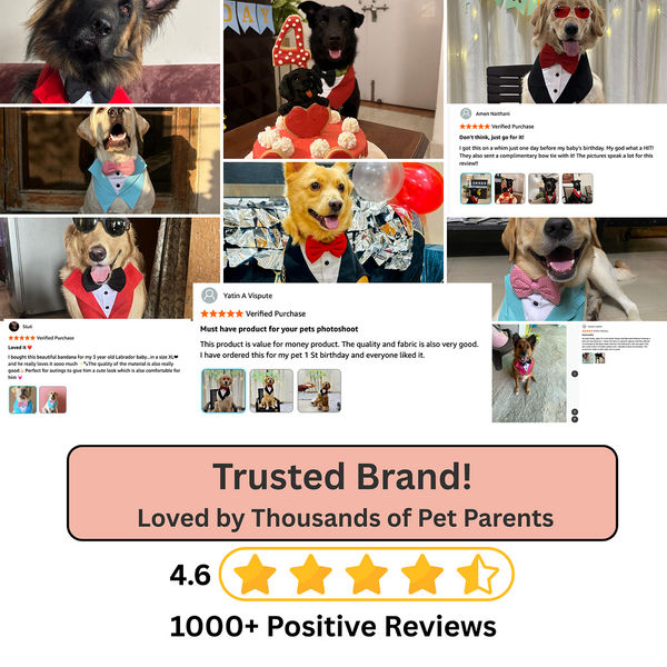 Dogobow Tuxedo Bandana for Dogs (Red) (Get a Bow Free)