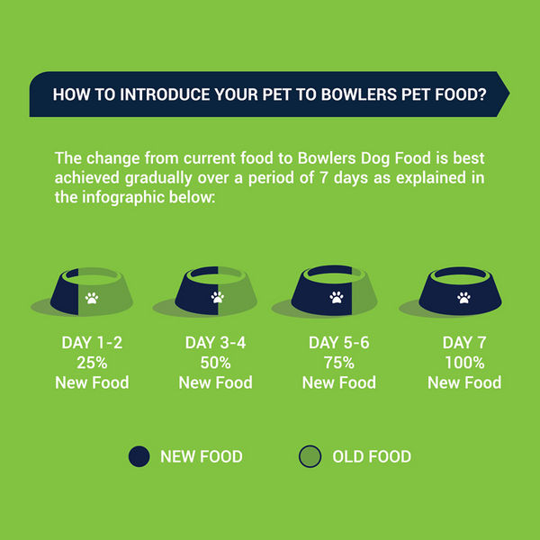 Bowlers Chicken and Liver Recipe in Gravy Puppy Dog Wet Food