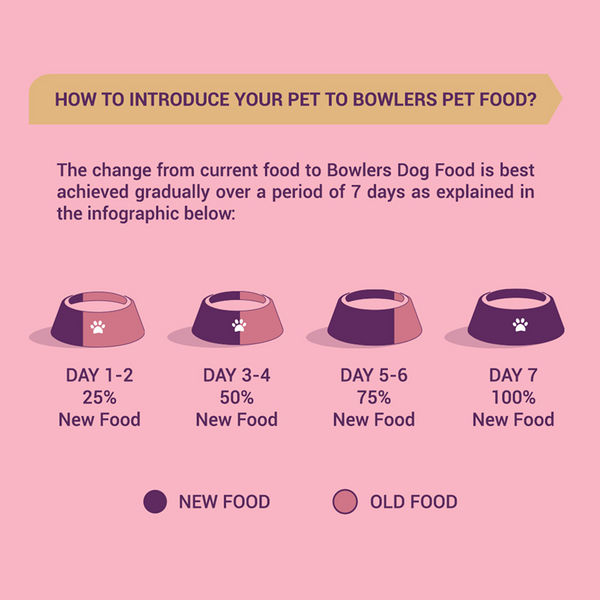 Bowlers Chicken and Milk Nutrimax Puppy Dog Dry Food