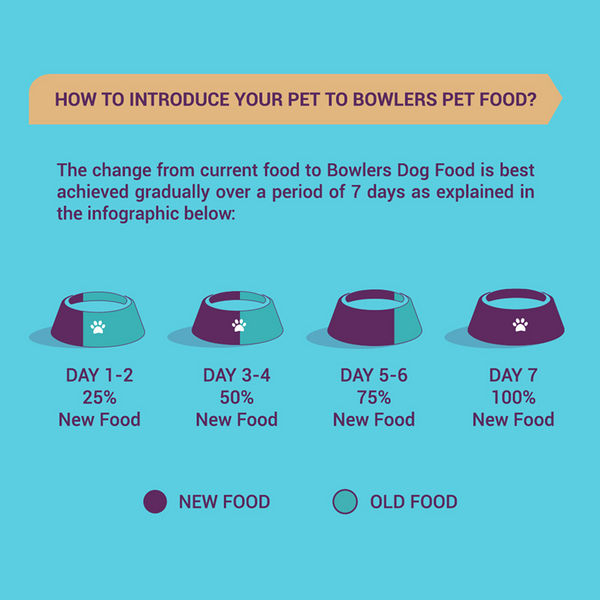 Bowlers Nutrimax Chicken and Vegetables Adult Dog Dry Food