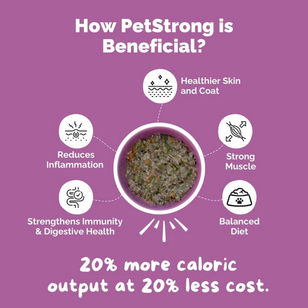PetStrong Chicken and Rice Fresh Food for Dogs