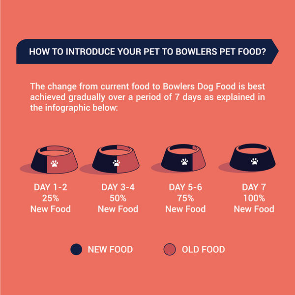 Bowlers Lamb in Gravy Adult Dog Wet Food