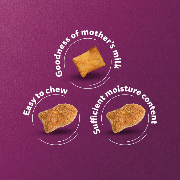 Whiskas Ocean Fish Kitten Cat Dry Food