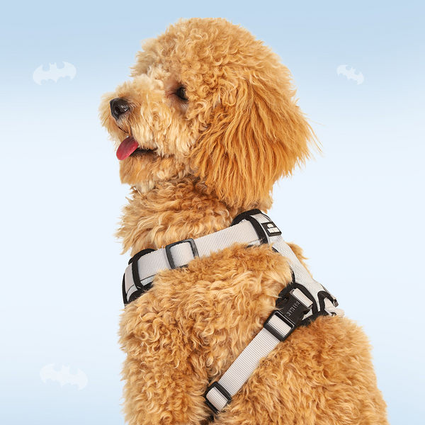 Warner Bros Batman Harness for Dogs and Cats