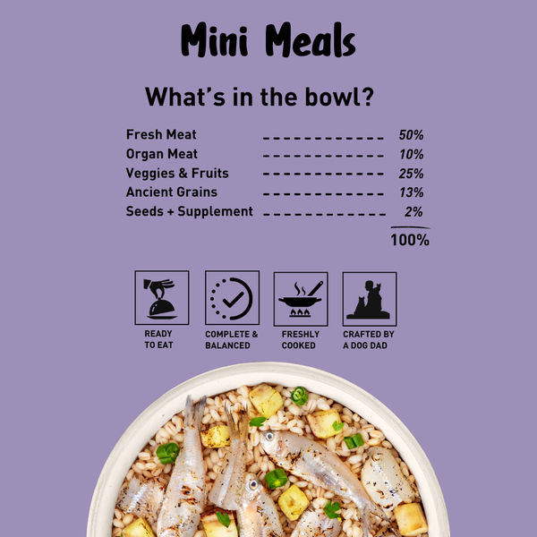 Homiee & Ginger Grain Free Mini Meals Surf & Turf, Fish Feista, Chicken & Barley Food for Dogs Combo