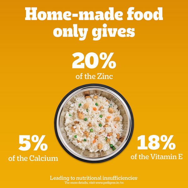 Pedigree 100% Vegetarian Puppy and Adult Veg Dog Dry Food