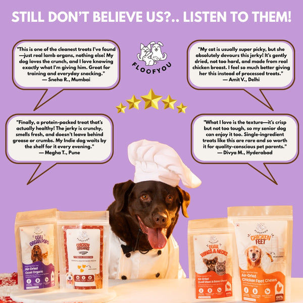 Floofyou Air Dried High Protien Goat Organs Jerky Dog & Cat Treats