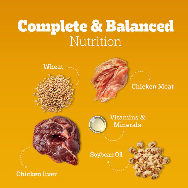 Pedigree Chicken and Liver Chunks in Gravy Adult Dog Wet Food (130g)