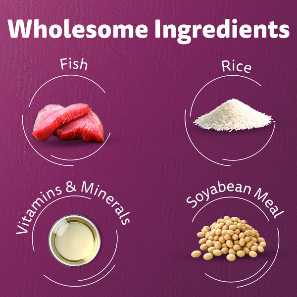 Whiskas Ocean Fish Flavour Adult Cat Dry Food