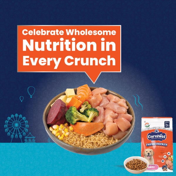 Carniwel Fresh Chicken Kibble Large Breed Puppy Dog Dry Food