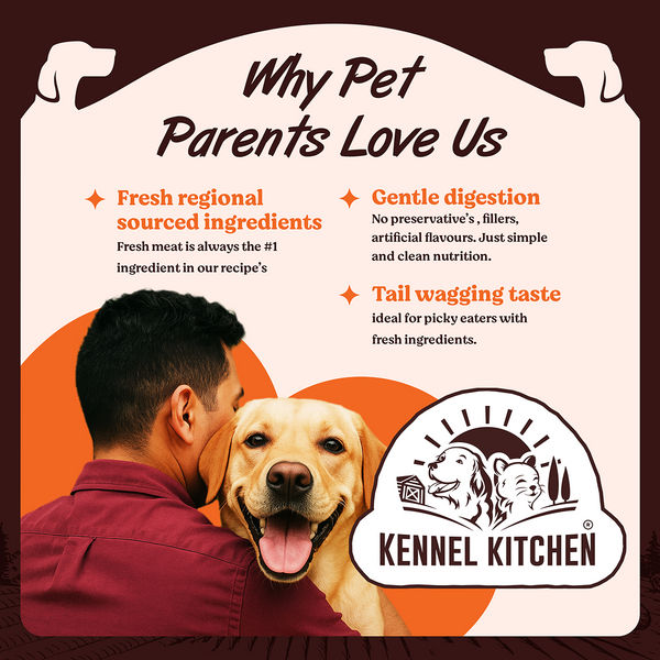 Kennel Kitchen Supreme Cuts in Gravy Fish Recipe with Pumpkin Puppy & Adult Dog Wet Food (All Life Stage)