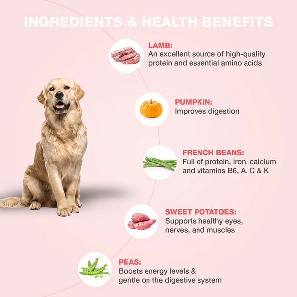 Bennys Bowl Lamb and French Beans & Chicken and Pumpkin Dog Fresh and Wet Food Combo