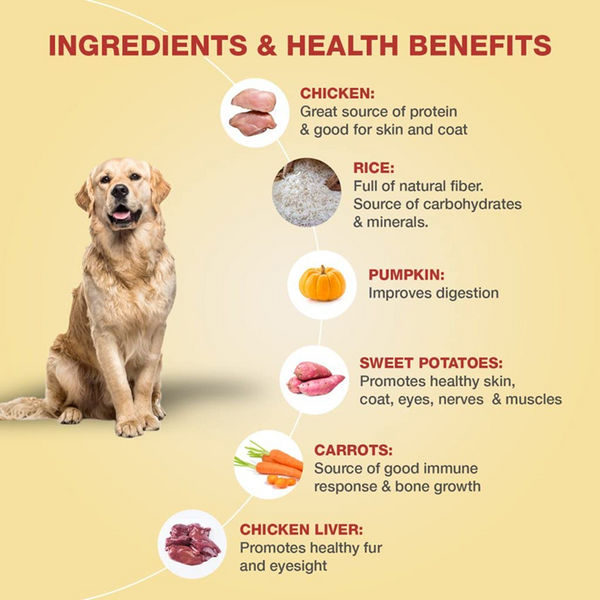 Bennys Bowl Chicken and Rice Dog Fresh and Wet Food