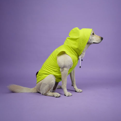 Skatrs Galaxy Breezy Hoodies with Pockets for Dogs and Cats (Green)