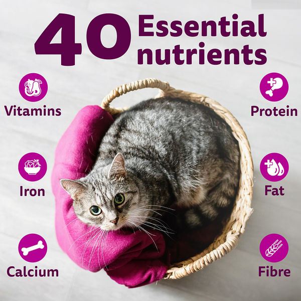 Whiskas Rohu Fish Flavour Adult Cat Dry Food