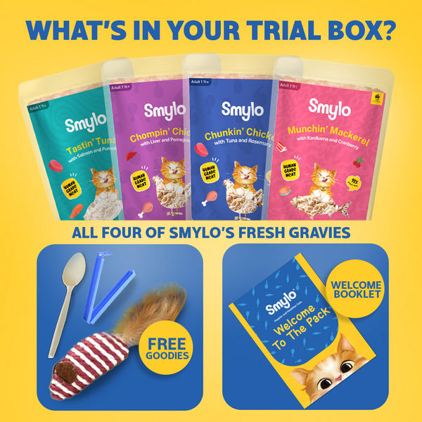 Smylo Adult Trial Box, Tuna, Chicken & Mackerel, Fresh & No-Preservative Wet Cat Food