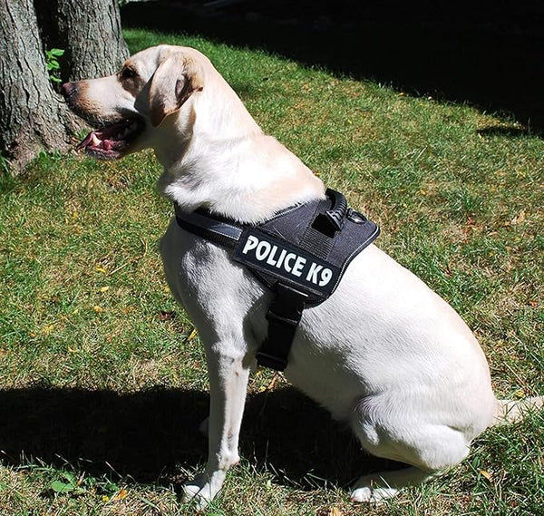 Skatrs Police K9 Harness for Dogs (Navy Blue)